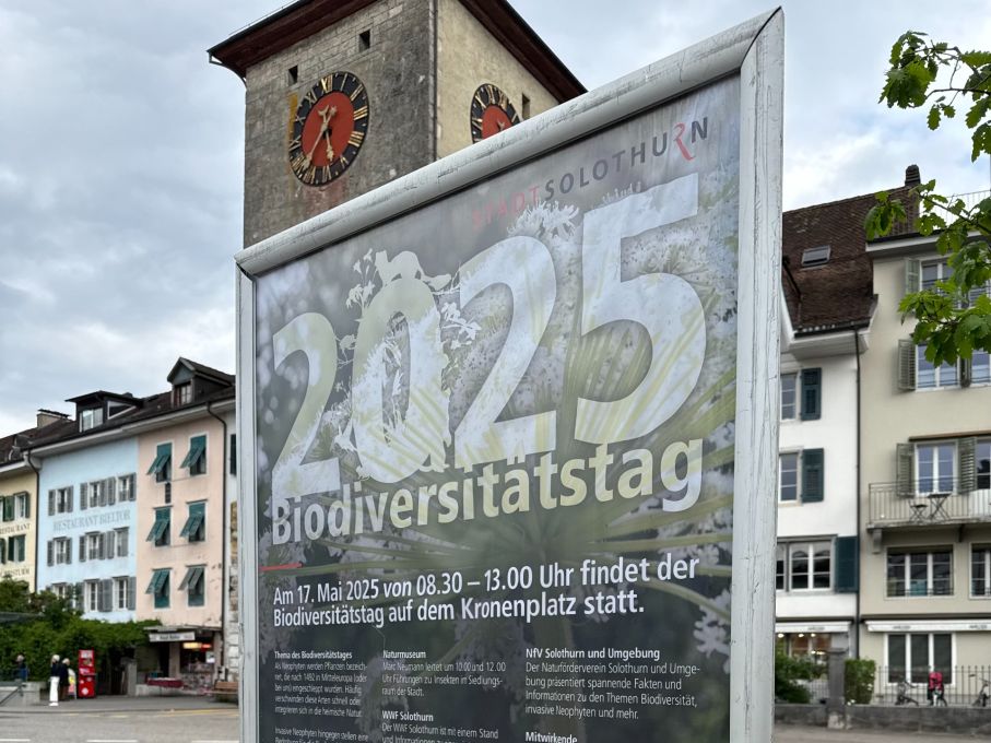 Biodiversitätstag 2025 in Solothurn – gemeinsam gegen invasive Neophyten